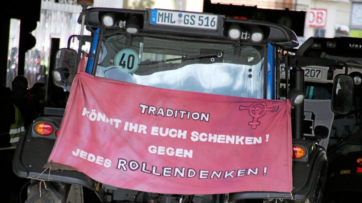 Die Arbeitsgemeinschaft Bäuerliche Landwirtschaft (ABL) hat gemeinsam mit dem Naturschutzbund Thüringen (NABU) und weiteren 18 Initiativen und Verbänden am Samstag, 28. September, in Erfurt für eine enkeltaugliche Landwirtschaft demonstriert - und dabei auch einen breiten Forderungskatalog aufgemacht, der vor allem auf die finanzielle Unterstützung für existenzgründende Jungbauern und gegen den Landverkauf an Großinvestoren zielt. Mit 50 Traktoren an der Spitze zog der Demozug vom Willy-Brand-Platz über den Juri-Gagarin-Ring durch die Neuwerkstraße zum Anger.