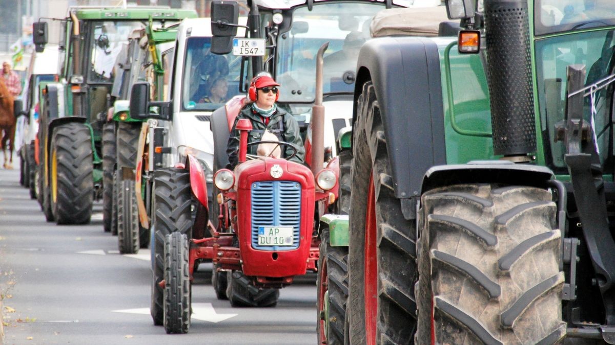 Die Arbeitsgemeinschaft Bäuerliche Landwirtschaft (ABL) hat gemeinsam mit dem Naturschutzbund Thüringen (NABU) und weiteren 18 Initiativen und Verbänden am Samstag, 28. September, in Erfurt für eine enkeltaugliche Landwirtschaft demonstriert - und dabei auch einen breiten Forderungskatalog aufgemacht, der vor allem auf die finanzielle Unterstützung für existenzgründende Jungbauern und gegen den Landverkauf an Großinvestoren zielt. Mit 50 Traktoren an der Spitze zog der Demozug vom Willy-Brand-Platz über den Juri-Gagarin-Ring durch die Neuwerkstraße zum Anger.