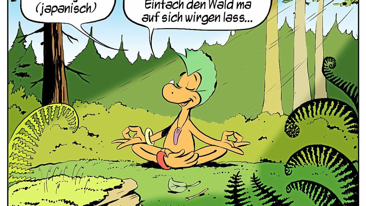 Matthias Kringe stellt den Dilldappen-Kalender 2020 vor