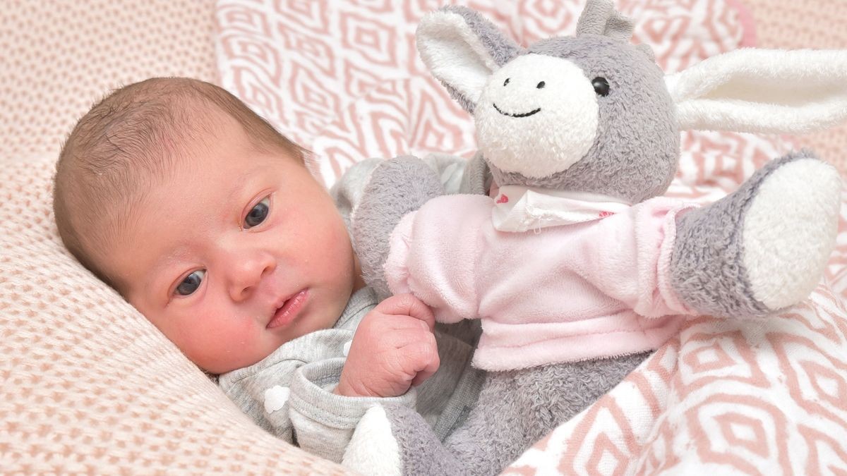 Lotta Alida Clajus geboren am 26.9.2019 Uhrzeit: 3.44 Uhr Gewicht: 3160 Gramm Größe: 50 Zentimeter Eltern: Julia Kämpfe und Thomas Clajus Ort: Arnstadt Alle Babys wurden in den Ilm-Kreis-Kliniken Arnstadt geboren. Die Fotos stammen von First Moment Chemnitz.