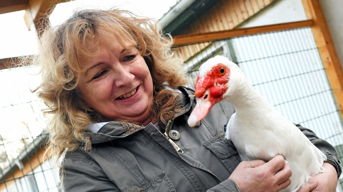 Birgit Schneider mit der Ente Schnattchen, die sie schwer verletzt von der Straße rettete.