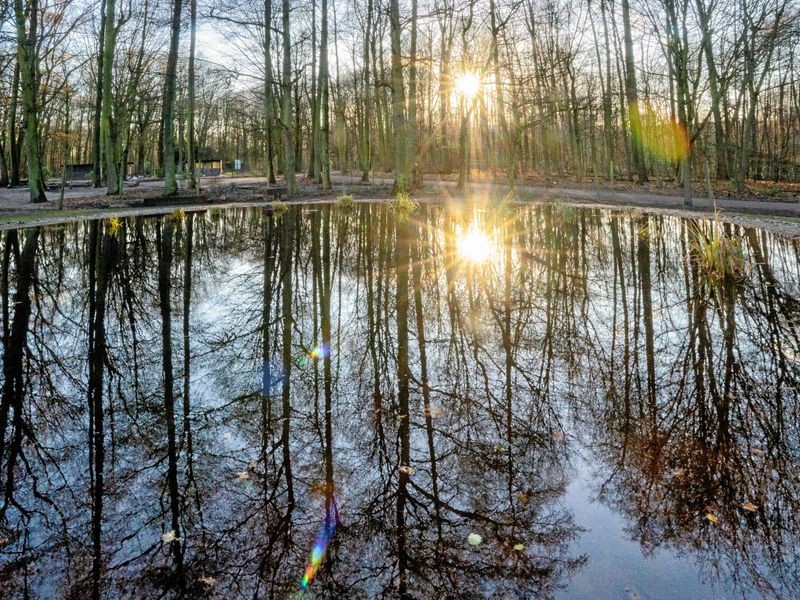 Kinder können einen neuen Teich in Rheinhausen entdecken