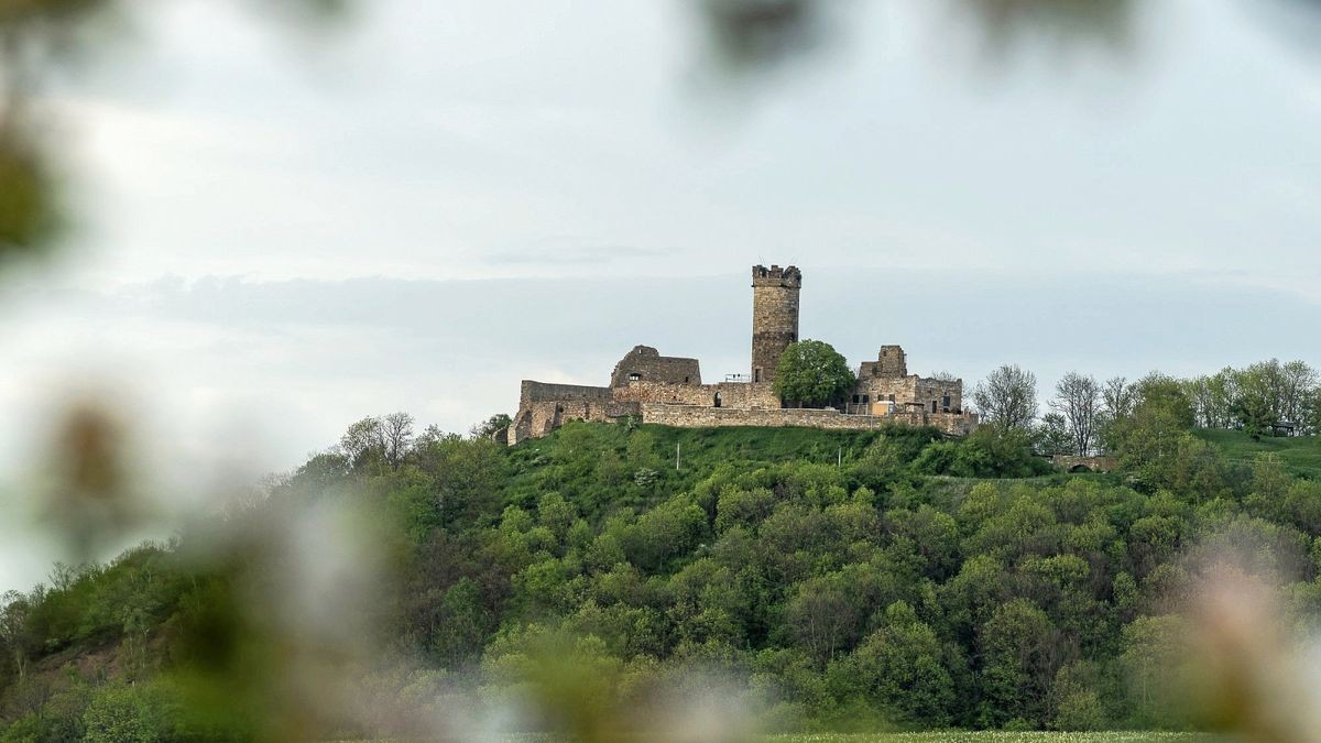 Um die Mühlburg ranken sich viele Geschichten. Autor Peter J. Worsch hat sich mit Heinrich, dem roten Milan auseinandergesetzt, der auf der Burg lebte und König Otto I. diente.