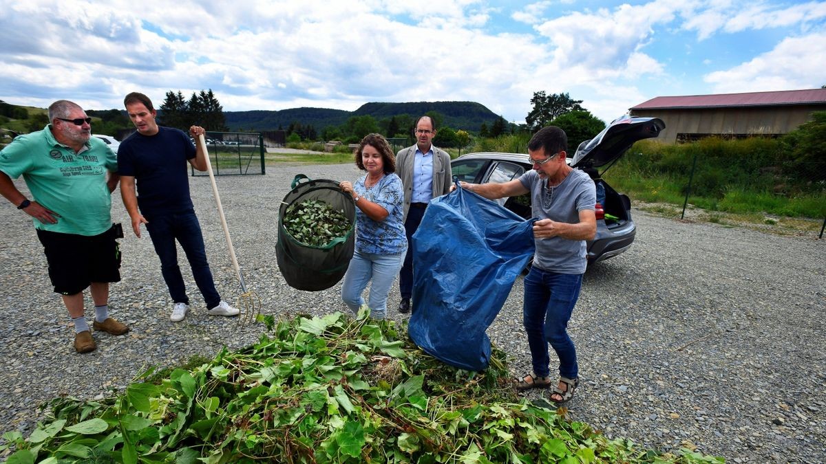 Viele Menschen bringen derzeit ihre Gärten in Schuss. Die kostenlose Grünschnittabgabe ist derzeit aber nicht möglich.