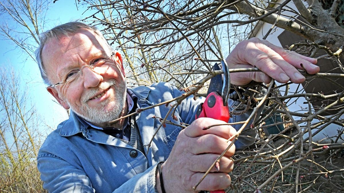 Hartmut Beyer ist der Vereinsvorsitzende der Kleingartenanlage. Sein Garten liegt direkt am Haupteingang, von wo aus er einen guten Überblick hat.