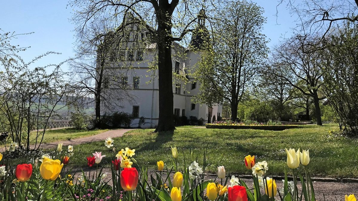 Die Museen in den Dornburger Schlössern öffnen am 1. Mai wieder für Besucher. In der neuen Saison gibt es einige Einschränkungen für die Gäste durch die Corona-Pandemie. So wird die Zahl der Gäste begrenzt, die sich gleichzeitig in einem der Schlösser umsehen dürfen. Der weitläufige Schlossgarten bietet jedoch reichlich Platz, um Wartezeiten zu überbrücken.