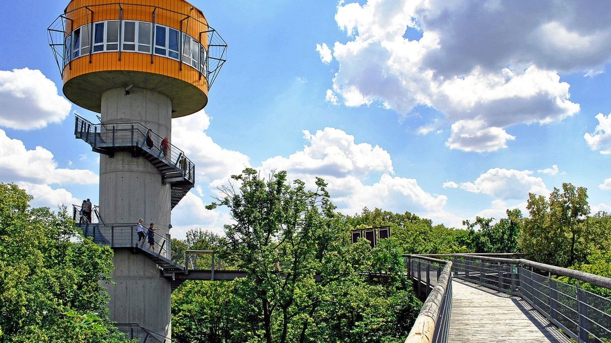 Der Baumkronenpfad im Nationalpark Hainich ist geöffnet – zur Zeit aber mit Einschränkungen wegen Corona.