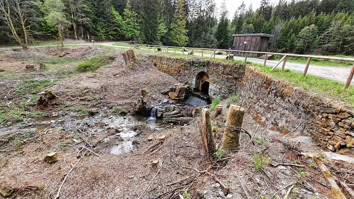 Der Damm des Floßteiches bei Titschendorf ist komplett vom Bewuchs befreit worden. Im Teich selbst befindet sich derzeit kein Wasser.