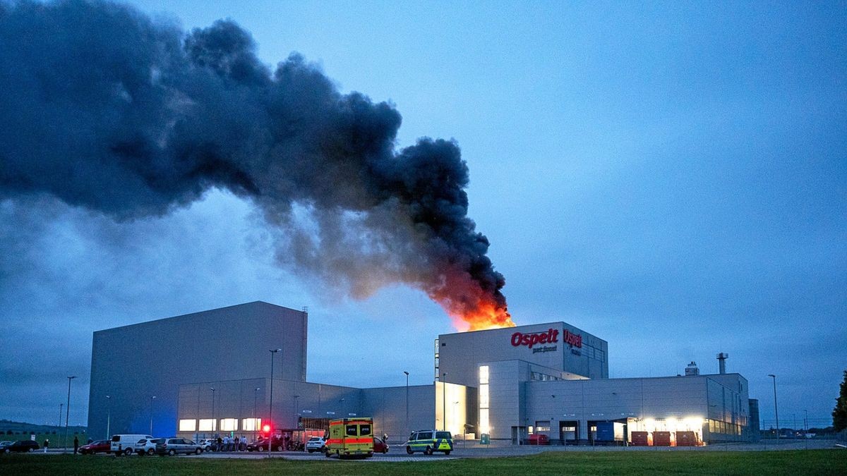 Millionenschaden bei Brand in der Firma Ospelt PetFood im Gewerbegebiet Apolda. 