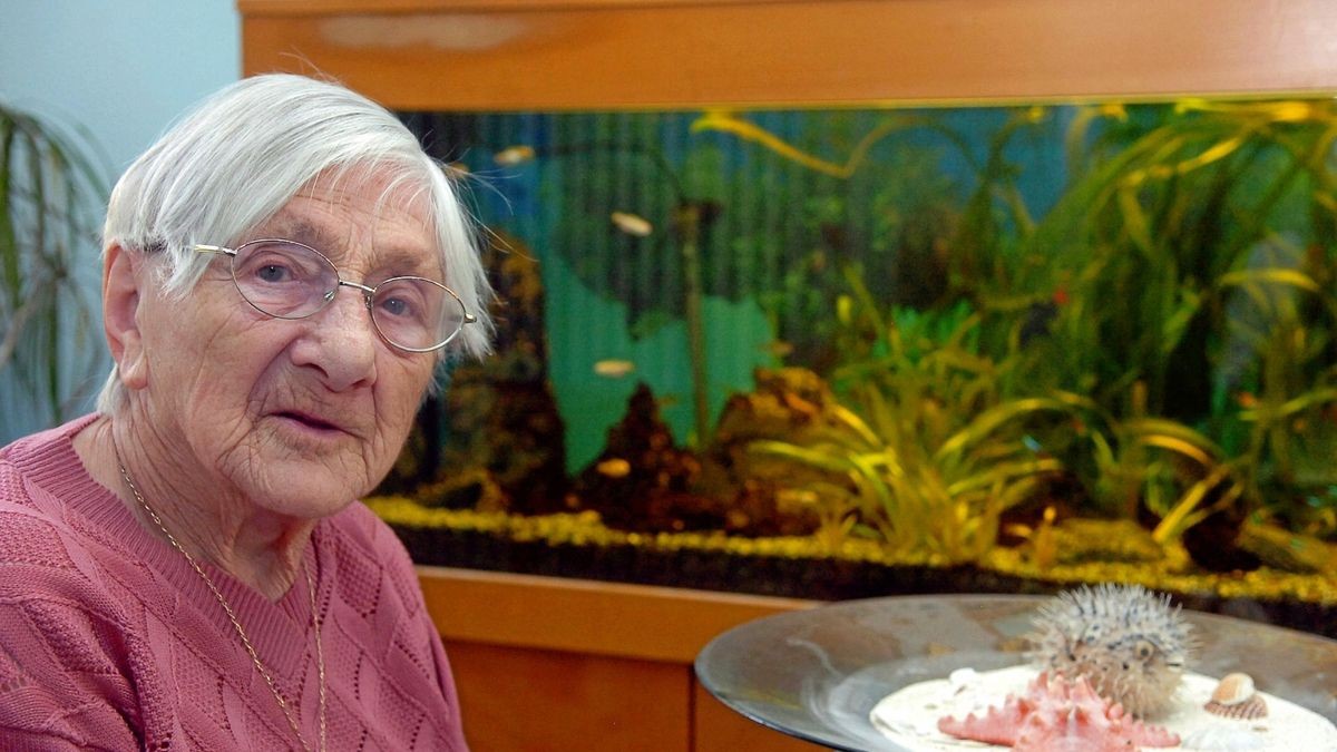 Hildegard Hockauf (95) wohnt in einem m Seniorenheim und leidet an Demenz. Beruhigend wirkt auf sie ein Blick ins Aquarium.  