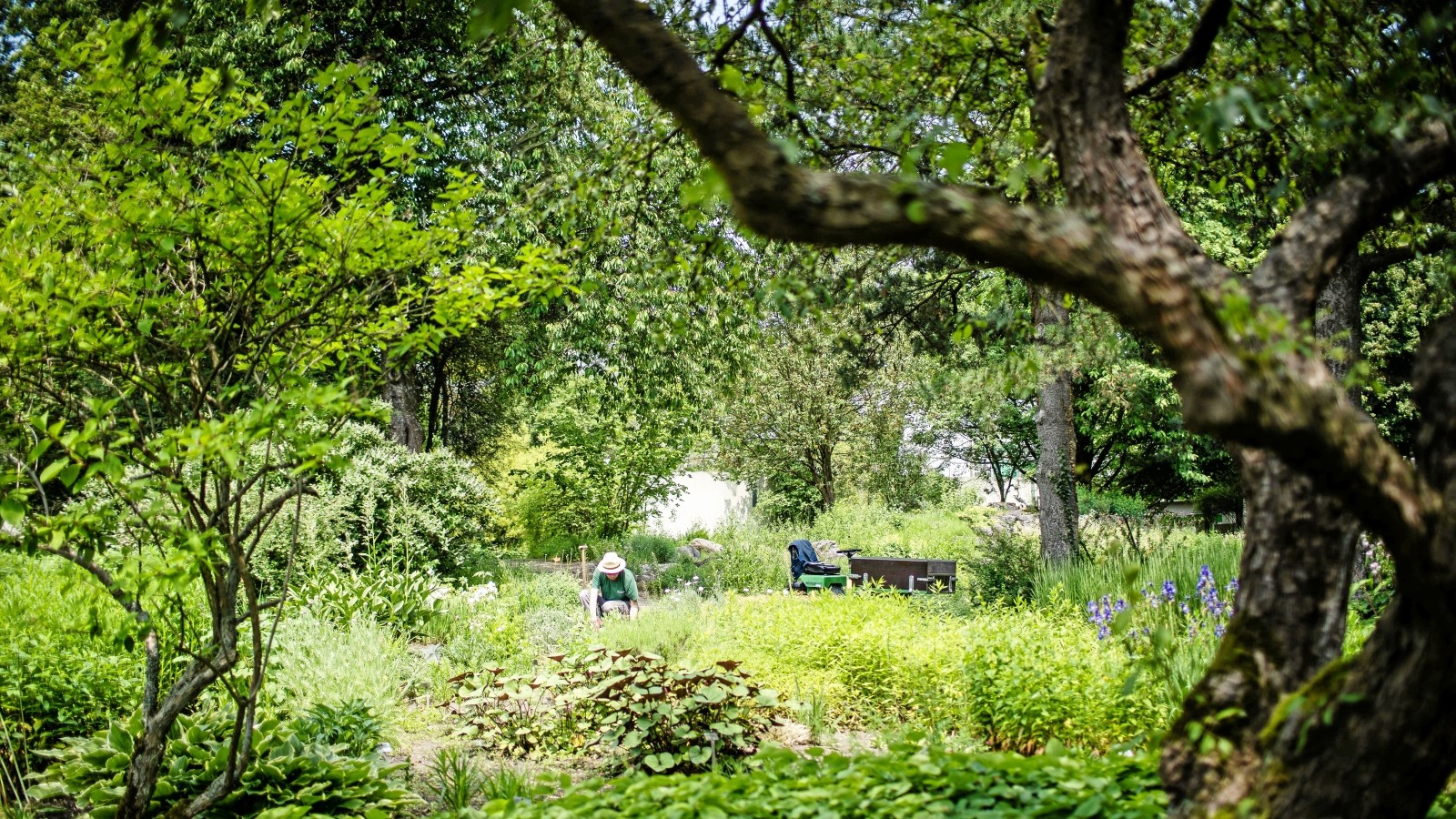 49+ Wann Öffnet Der Botanische Garten, Ist der botanische garten