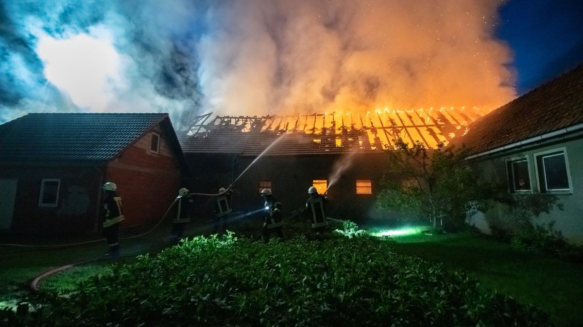 Die Scheune und das Nachbargebäude, ein ehemaliger Kuhstall, brannten komplett aus. Die Wehren konnten aber das Übergreifen der Flammen auf das Wohnhaus, auf ein weiteres Stallgebäude und das ehemalige Melkhaus verhindern. Die Brandursache ist noch unklar, der Sachschaden ist immens.