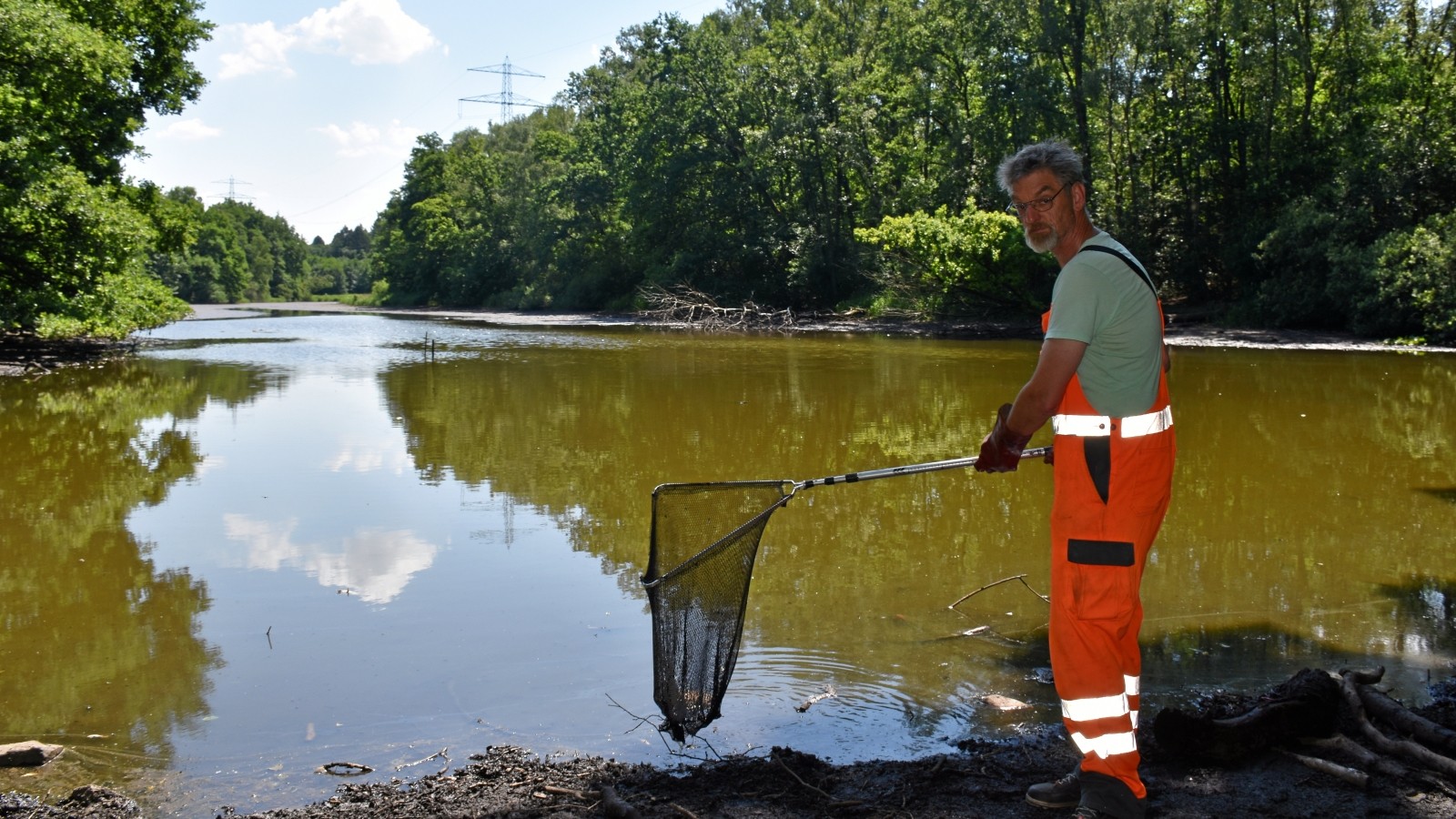 Im Lottbeker Teich in Ammersbek sterben Tausende Fische