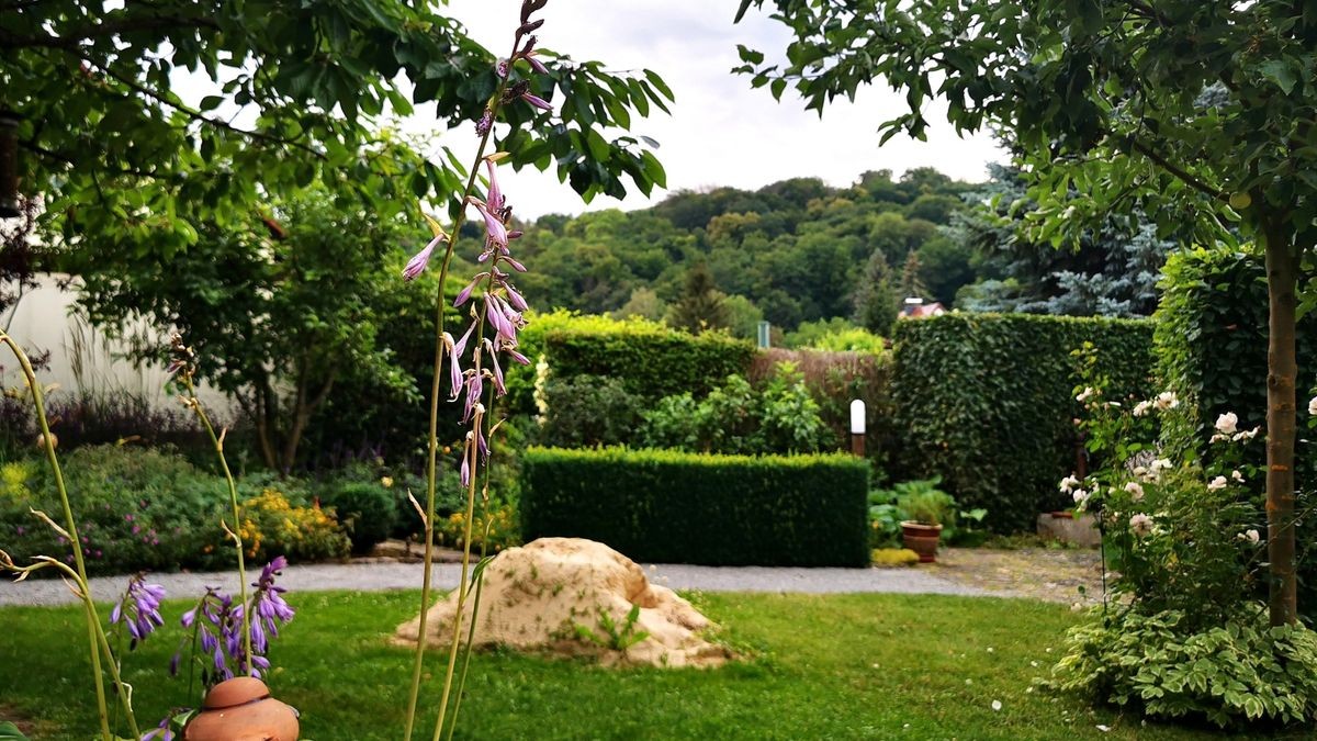 Gartenliebe Hädrichs Garten in Rastenberg