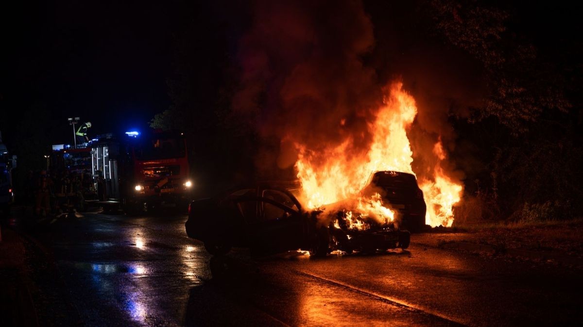 Unmittelbar nach dem Zusammenstoß waren auch mehrere Fahrzeuge der Bereitschaftspolizei Erfurt vor Ort, die auf dem Rückweg von einem Einsatz in Apolda waren. Die Polizisten leisteten umgehend Erste Hilfe bis zum Eintreffen der Feuerwehren und der Rettungskräfte. 