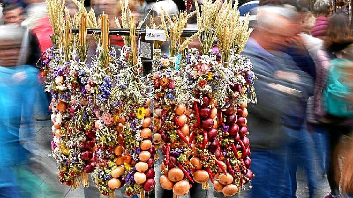 Die Zwiebelrispen spielen beim 367. Weimarer Zwiebelmarkt die Hauptrolle.