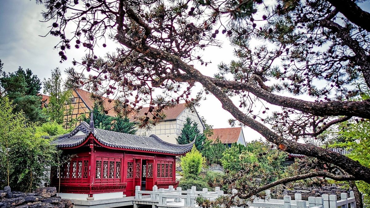 Chinesischer Garten Weißensee: Rechts im Vordergrund ist die Drehkiefer zu sehen.