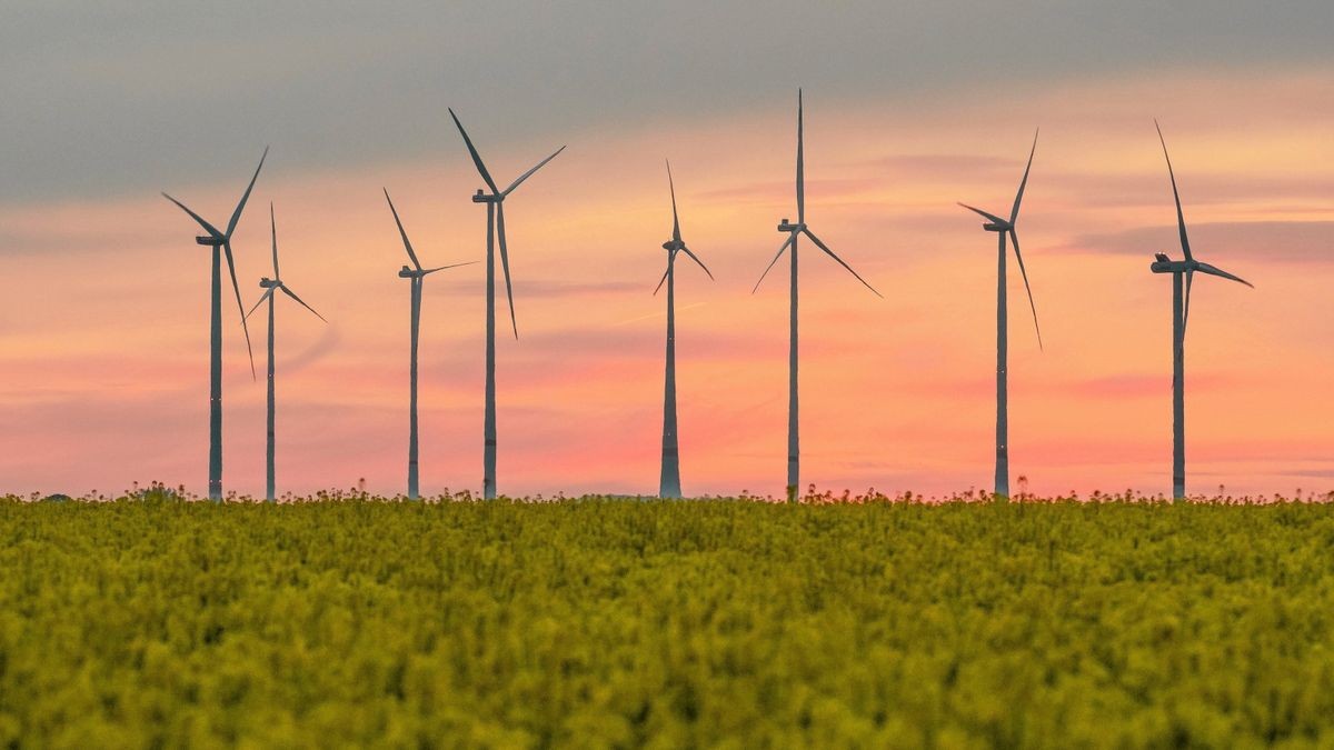 Windpark und Rapsfeld nördlich Westhausen (Landkreis Gotha) im Abendlicht