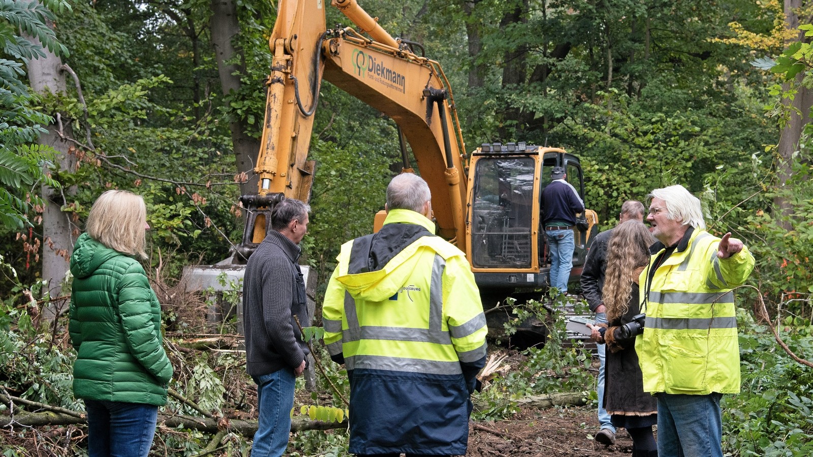 Für Renaturierung dutzende Bäume am Dickelsbach gefällt