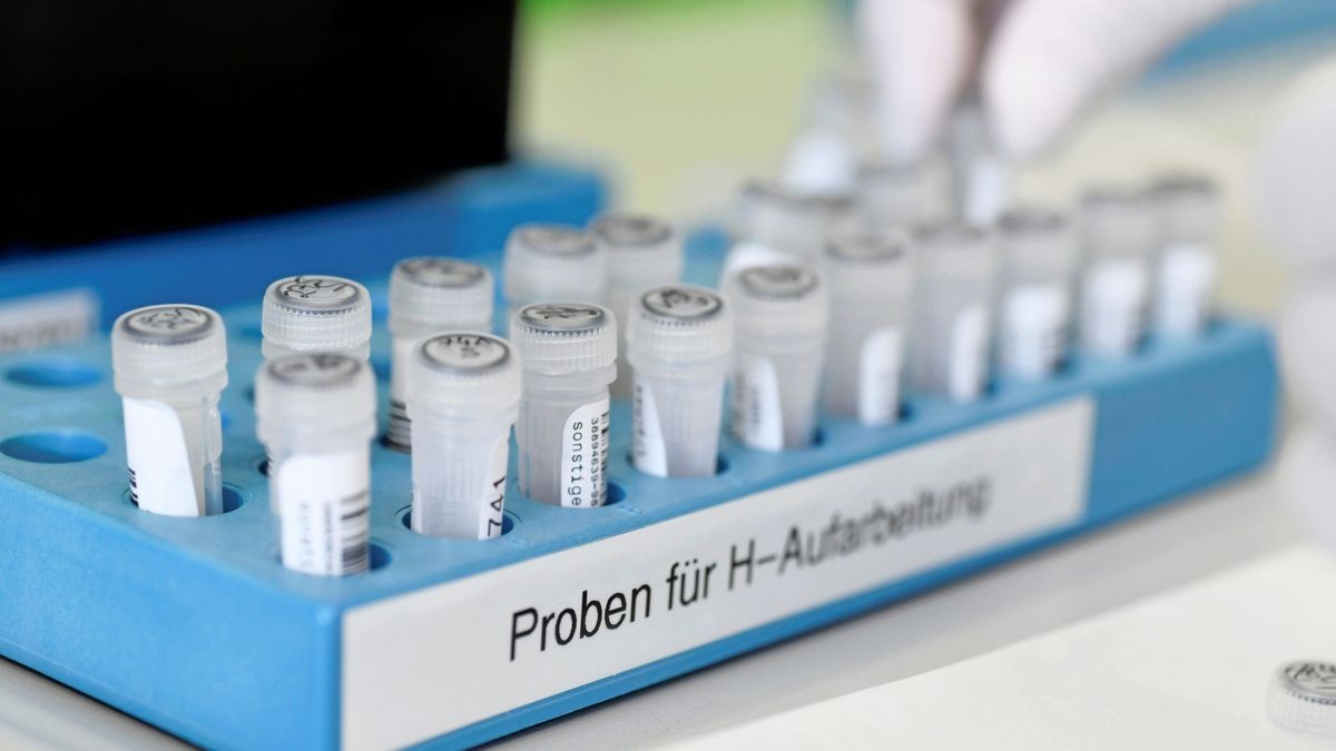 Das Institut für Medizinische Mikrobiologie am Universitätsklinikum Jena untersucht Proben auf das Coronavirus.