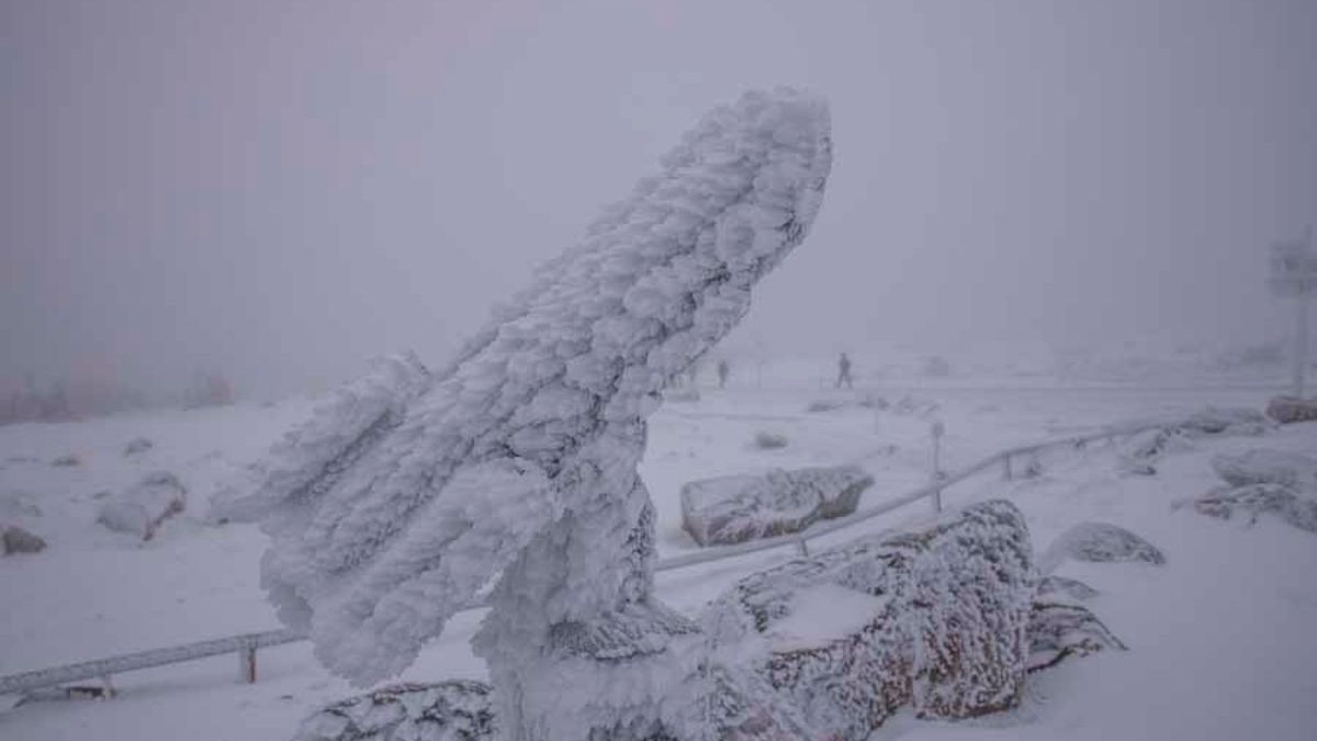 Zu Weihnachten durften sich die Menschen im Harz auf ein paar Flocken freuen. Pünktlich zu den Feiertagen liegt wieder Schnee auf dem Brocken. Bei minus vier Grad ist es zwar bitterkalt, dennoch zog es zahlreiche Wanderer auf den Berg, um einen Weihnachtsausflug zu genießen. Zwar ist es auf dem Brocken selbst neblig, doch im Tal herrscht strahlender Sonnenschein. In den nächsten Tagen soll es weiter schneien.