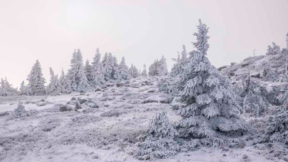 Zu Weihnachten durften sich die Menschen im Harz auf ein paar Flocken freuen. Pünktlich zu den Feiertagen liegt wieder Schnee auf dem Brocken. Bei minus vier Grad ist es zwar bitterkalt, dennoch zog es zahlreiche Wanderer auf den Berg, um einen Weihnachtsausflug zu genießen. Zwar ist es auf dem Brocken selbst neblig, doch im Tal herrscht strahlender Sonnenschein. In den nächsten Tagen soll es weiter schneien.