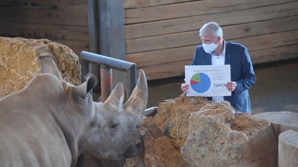 Das Nashornbaby im Thüringer Zoopark in Erfurt heißt Tayo. Das haben die Besucher des Zoos bei einer Abstimmung entschieden. OB Bausewein taufte den kleinen Bullen mit einem Glas Wasser.