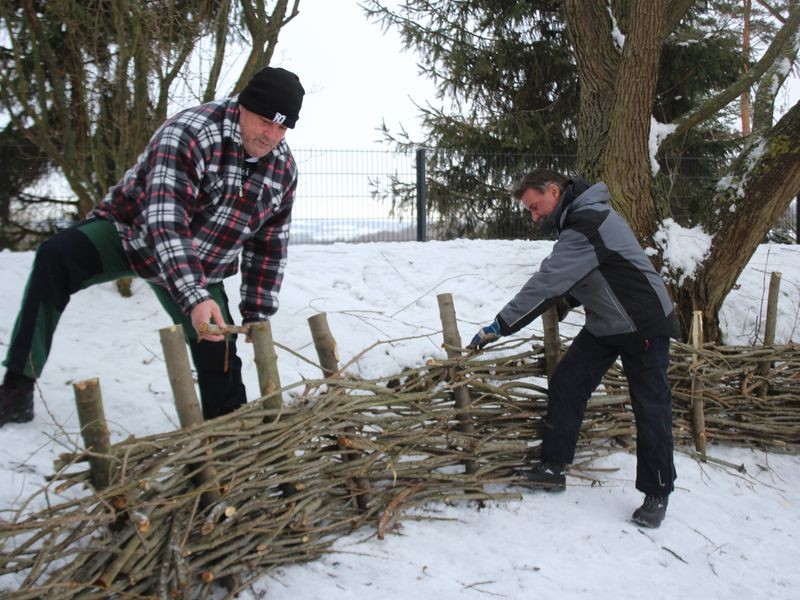 Himmelsteich in Kleinfalke bekommt Naturzaun