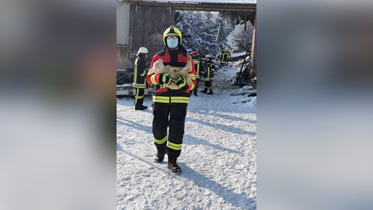 In Lipprechterode im Landkreis Nordhausen ist am Dienstag ein Scheunendach unter der Schneelast eingestürzt. In der Scheune waren Hunderte Schafe untergebracht.