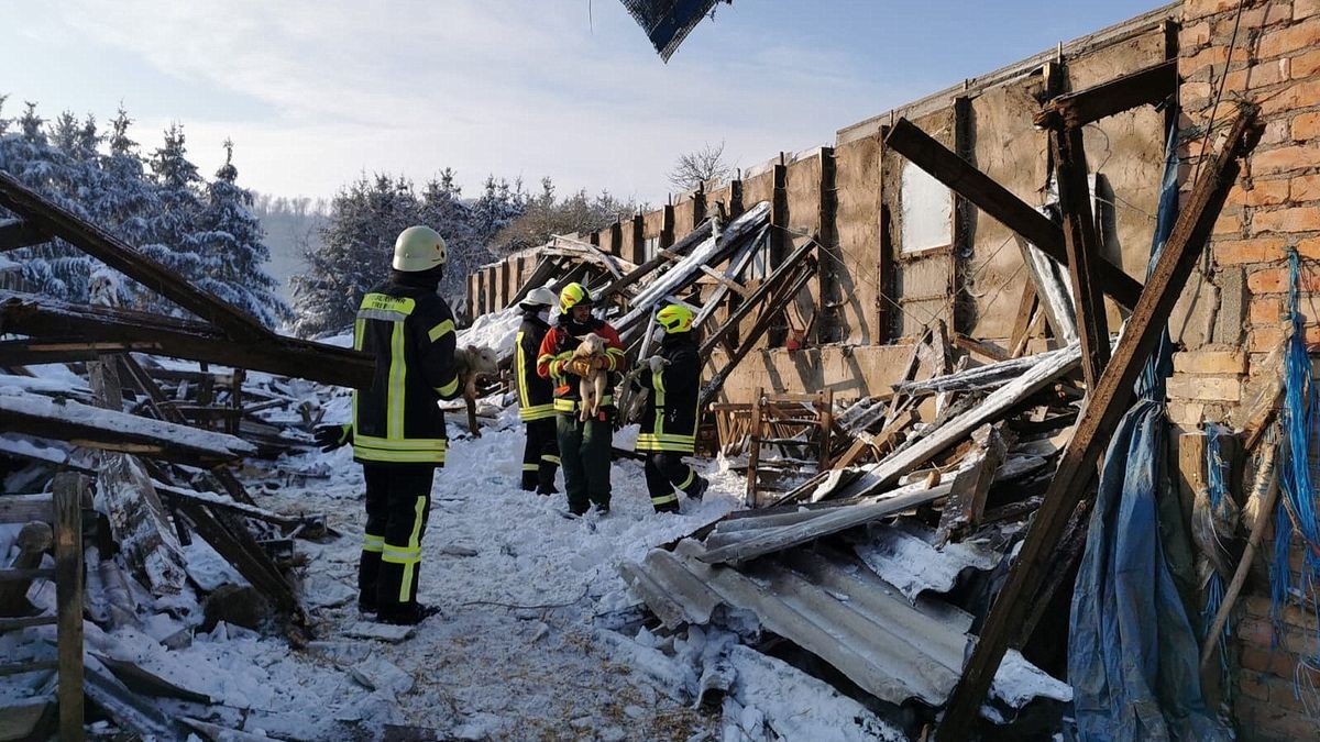 Beim Einsturz eines Scheunendachs in Lipprechterode im Landkreis Nordhausen sind am Dienstagmorgen etwa 50 Schafe gestorben.