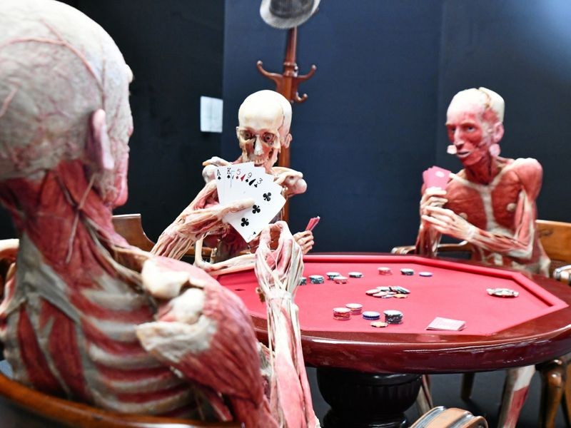 Ausstellung des Greizers Gunther von Hagens umstritten