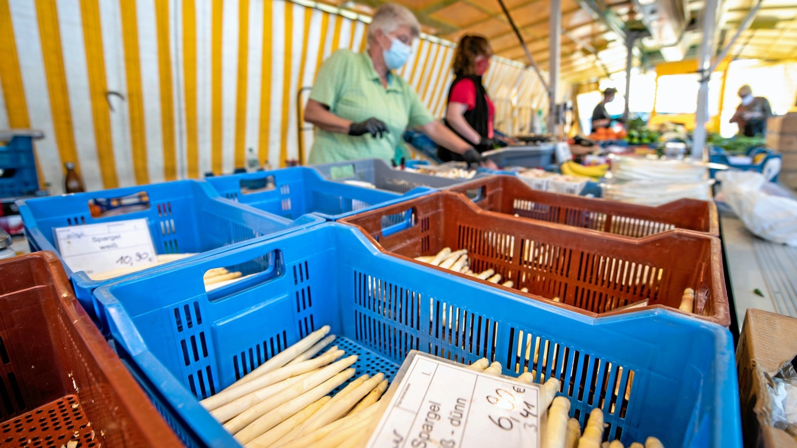 KampLintfort Dem Spargel war es im Mai auch zu kalt
