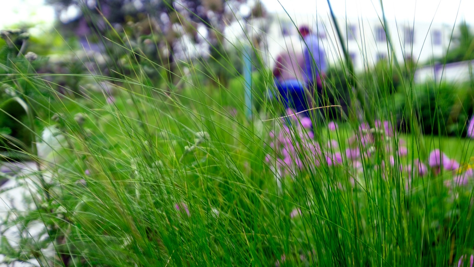 Ein Garten nach Plan bietet Raum zum Erholen in Wattenscheid