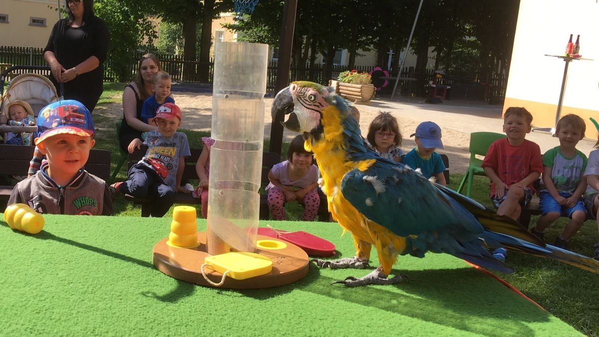 Zuckertütenfest mit tierischen Gästen im Kindergarten Nischwitz