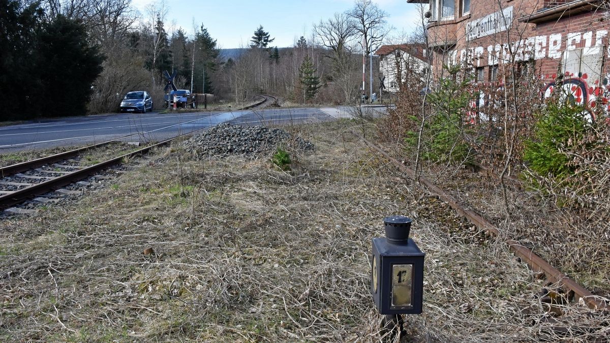 Auf einer Erkundungsfahrt ist ein Gleis der Ohratalbahn zwischen Gotha und Ohrdruf freigeschnitten worden. Wie hier bei Georgenthal ist der Unterschied zum noch zugewachsenen Schienenstrang (rechts) deutlich zu erkennen.