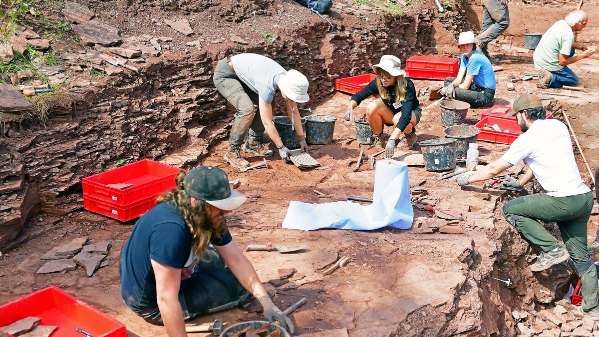 Bei den diesjährigen Grabungen am Bromacker wurden 400 Funde aus der Zeit der Ursaurier ausgegraben.