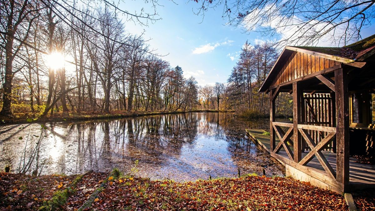 Der Teich in Seebach soll in den kommenden Jahren zu einem Naherholungsgebiet werden. 