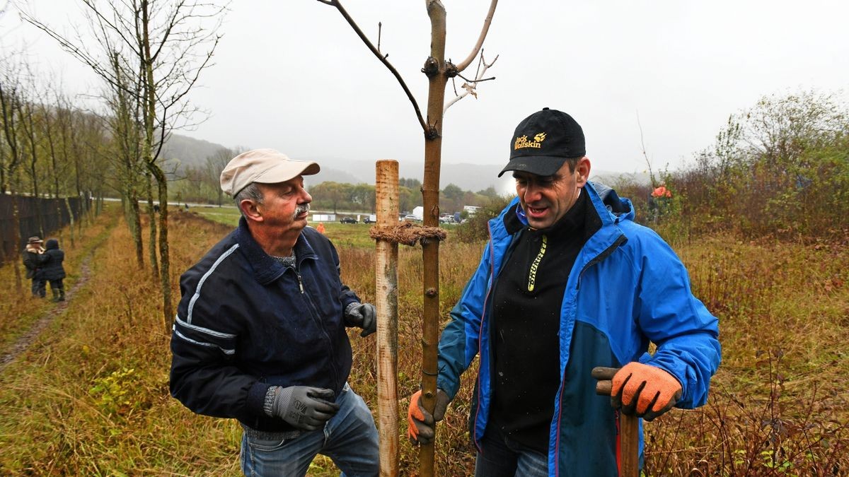 Pflegeeinsatz am Baumkreuz bei Ifta steht wieder an