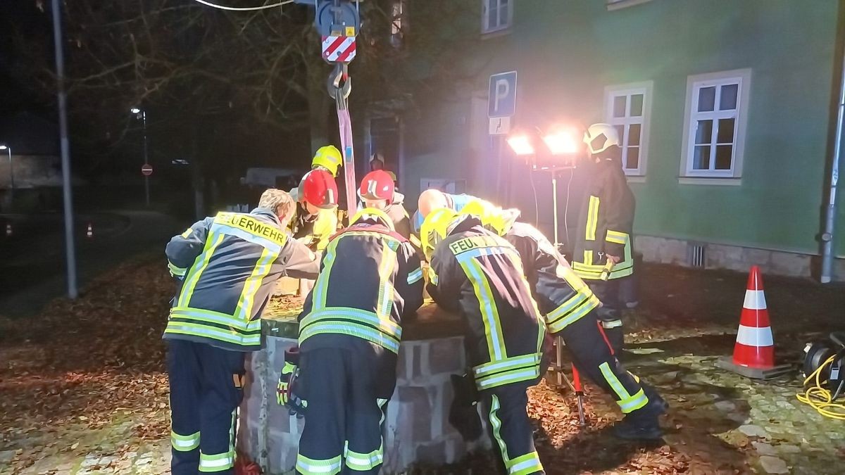 Tierrettungseinsatz für die Freiwillige Feuerwehr Obermehler am Sonntagabend, gegen 19.15 Uhr, in Schlotheim: Die Alarmmeldung lautete 