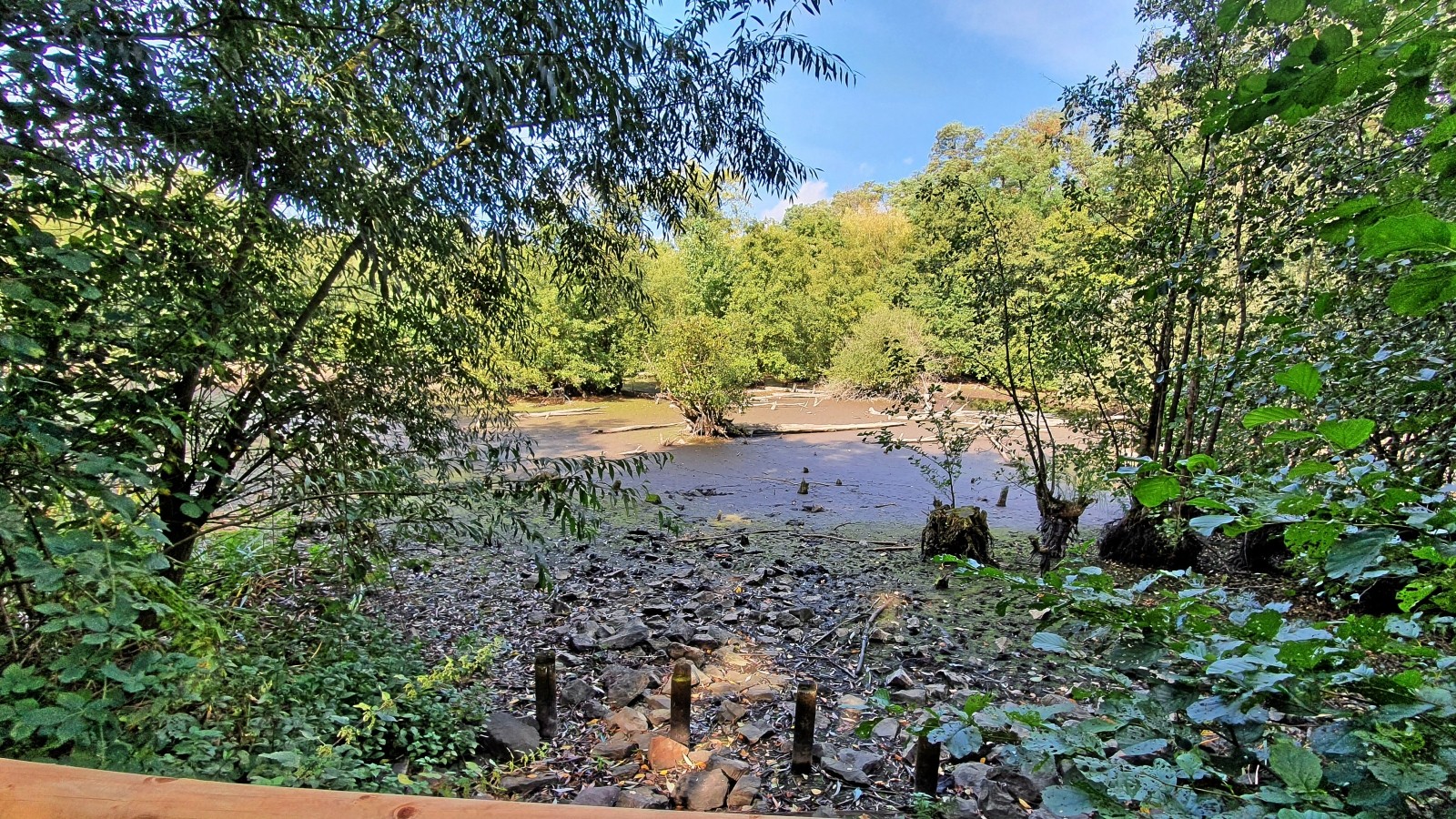 Bochum Das Naturschutzgebiet Blumenkamp wird erweitert