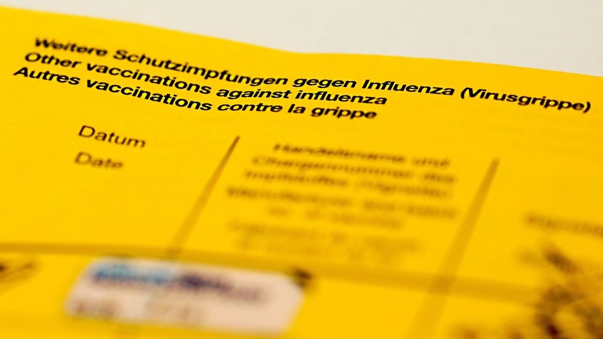 Ein Impfbuch mit den Feldern für die Impfung gegen Influenza. (Symbolfoto)