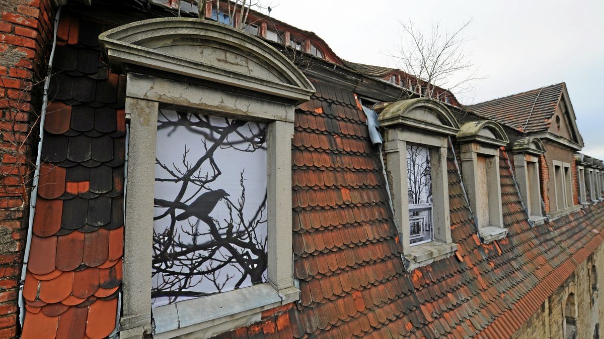 Ein Rabe sitzt geisterhaft in einem Fenster der Defensionskaserne. Die Illustration entstammt einer Kunstaktion aus dem Jahr 2016 (Archiv-Foto).