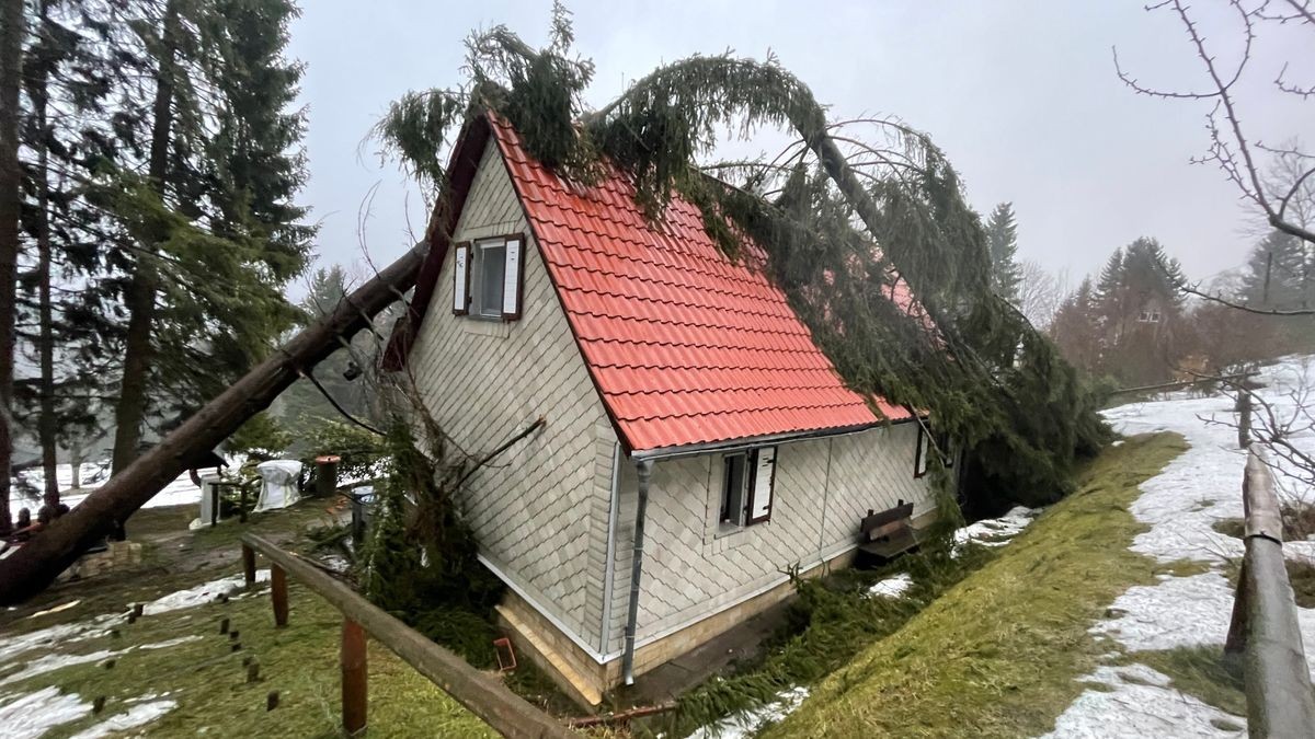 In Gehlberg stürzte ein großer Nadelbaum auf ein Wohnhaus. Verletzt wurde niemand. 