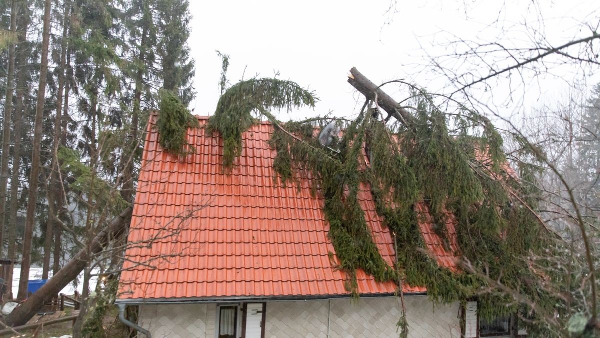 In Gehlberg stürzte ein großer Nadelbaum auf ein Wohnhaus. Verletzt wurde niemand. 