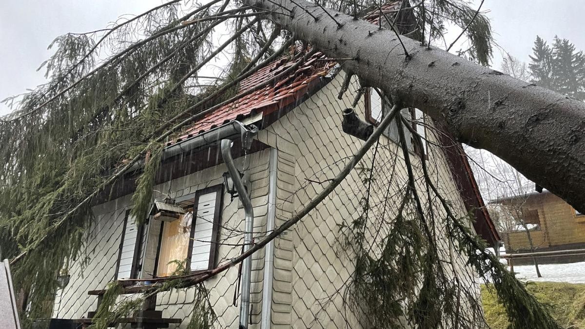  In Gehlberg stürzte ein großer Nadelbaum auf ein Wohnhaus.