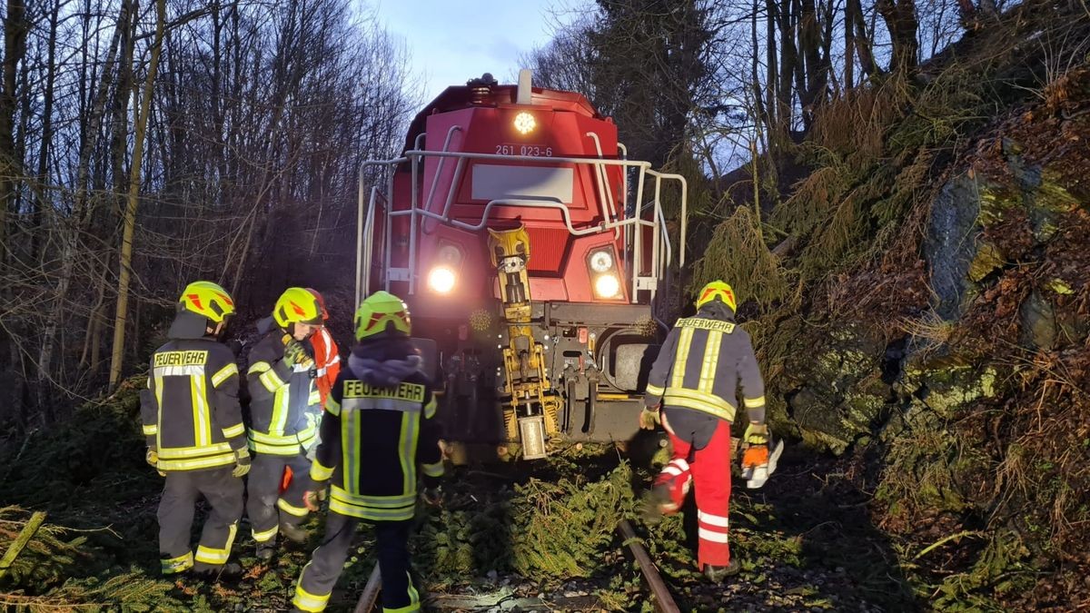 Die Bahnstrecke zwischen Harra und Bad Lobenstein war an mehreren Stellen durch umgestürzte Bäume blockiert. Einsatzkräfte der Feuerwehr Harra begleiteten einen Güterzug und beseitigten die Hindernisse.