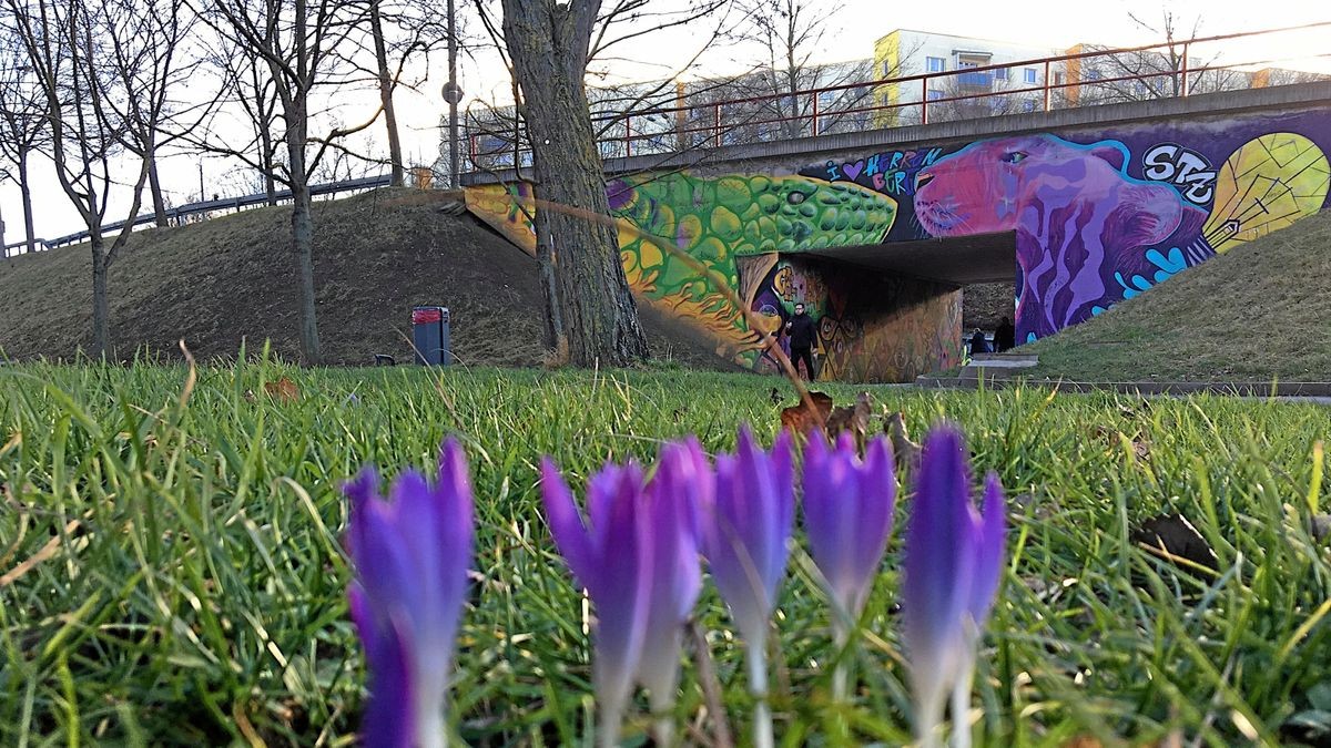 Die Brücken der Kranichfelder Straße zerschneiden den Südosten. Die Unterführung gilt als Angstraum. Beim Stadtumbau soll eine neue Verkehrslösung gefunden werden.