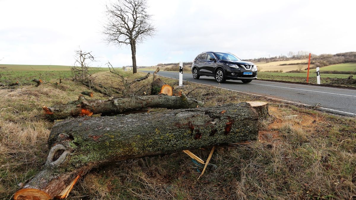 Der erste umgestürzte Baum versperrte um 5.05 Uhr zwischen Holzthaleben und Keula den Weg.