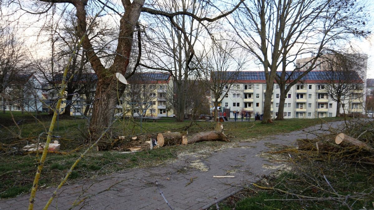 Und dann ging es Schlag auf Schlag.