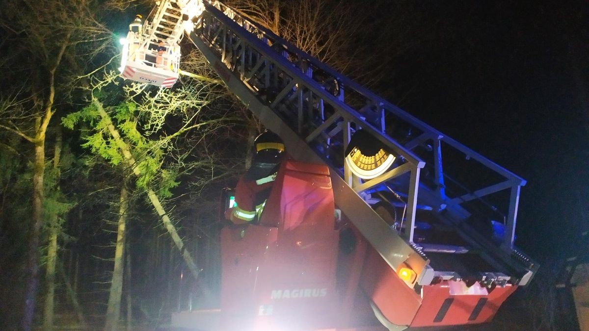 Die Freiwillige Feuerwehr trägt den Baum Stück für Stück ab. 